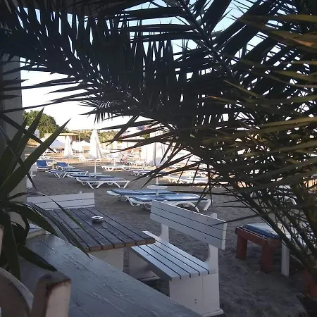 Belchevi